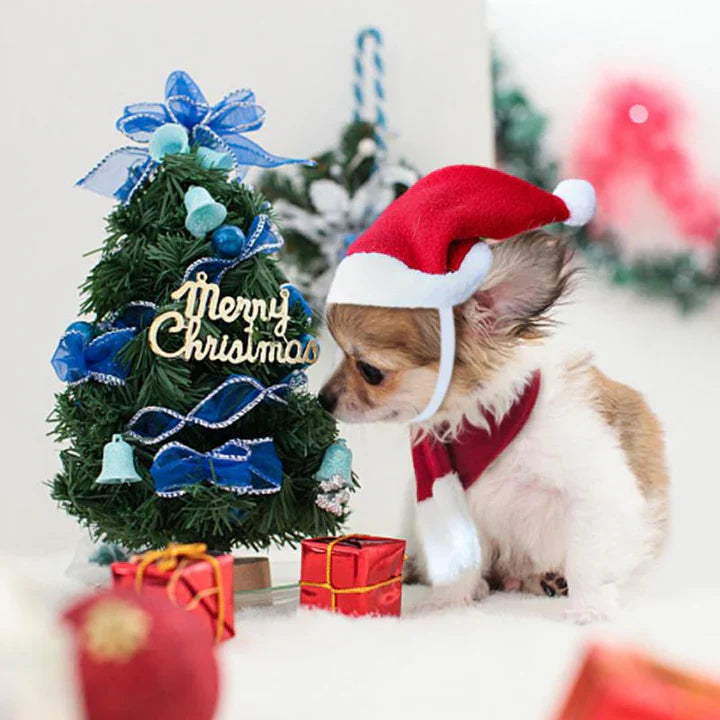 Christmas Hat with Scarf for Pets