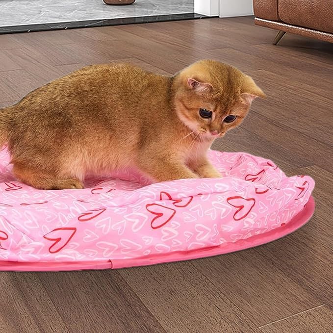 Cat Hide and Seek Game