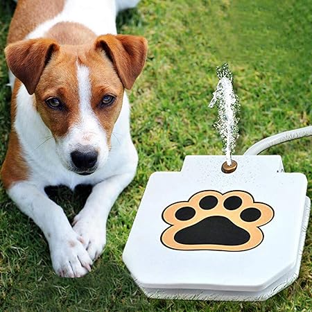 Interactive Dog Toy With Spray Fountain