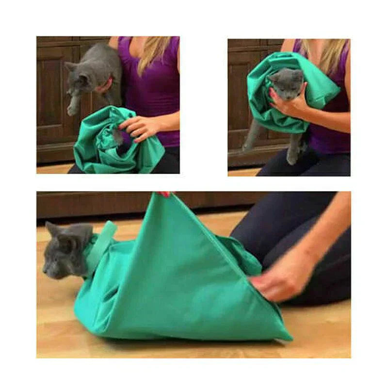 Cat Travel Bag With Comfort (2 For 1)