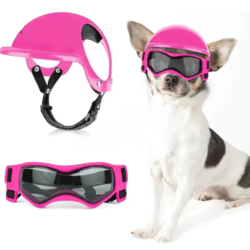 Stylish Dog Helmet With Goggles