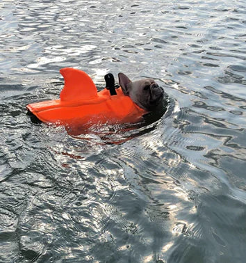 Life Jacket For Dogs