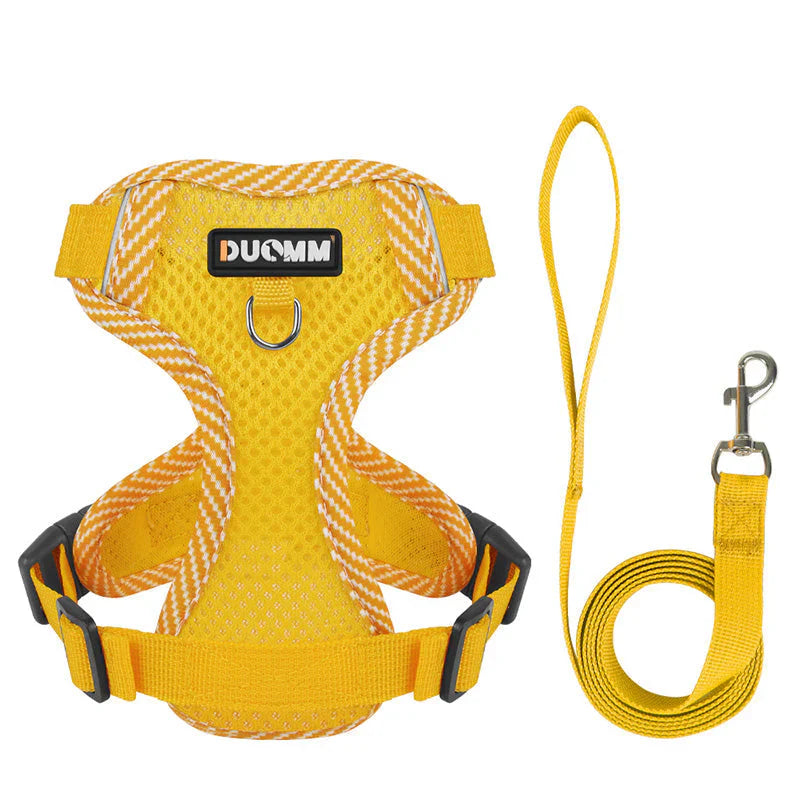Reflective Dog Harness With Lead For Small Dogs