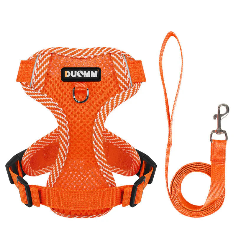 Reflective Dog Harness With Lead For Small Dogs