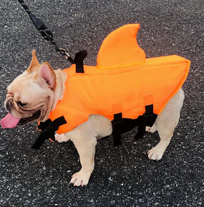 Life Jacket For Dogs