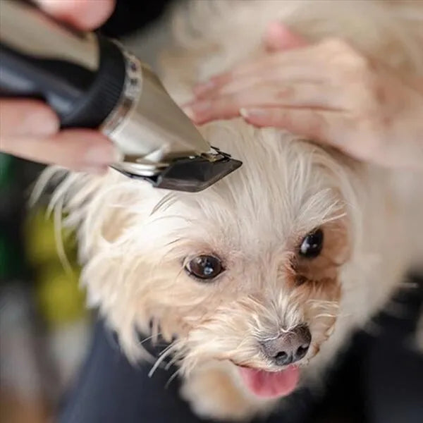 Silent Coat Trimmer Set For Dogs