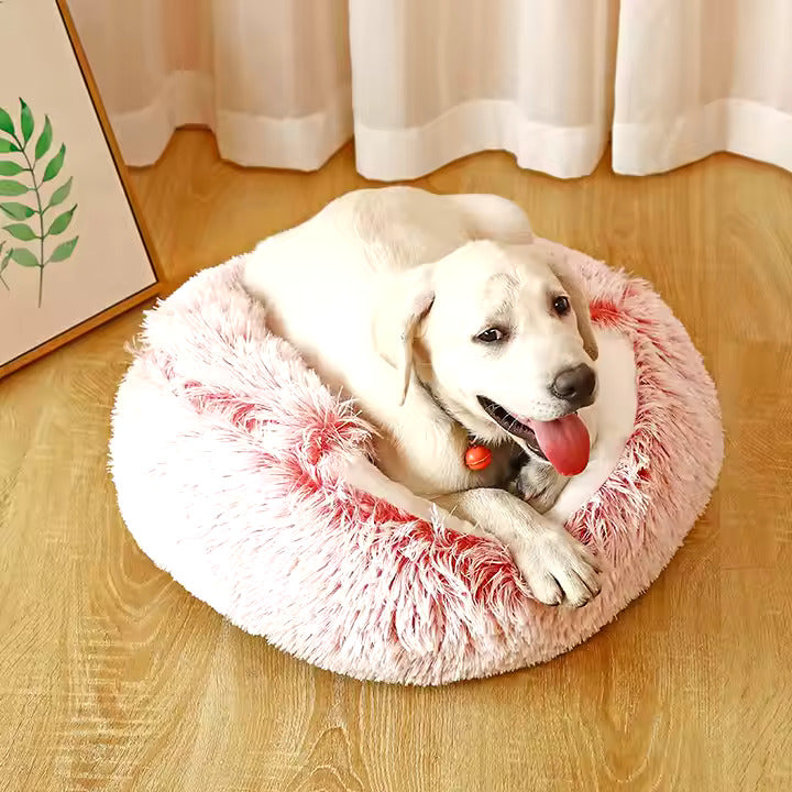 2in1 Dog Cuddle Cave