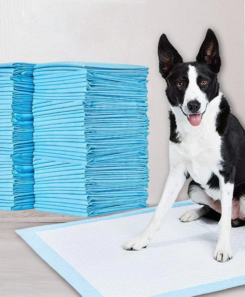 House - Training Pads