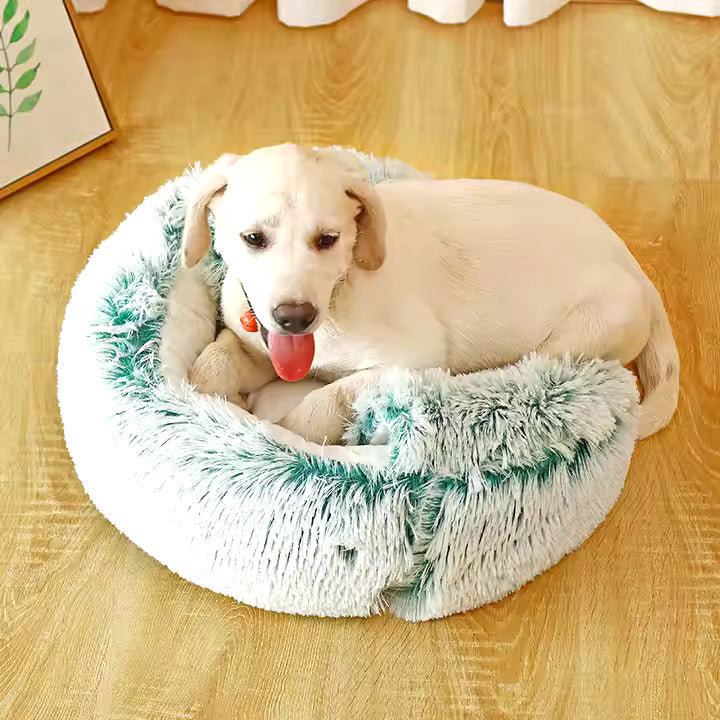 2in1 Dog Cuddle Cave