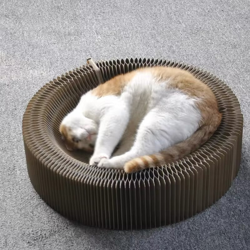 Magical Play And Scratching Bed For Cats