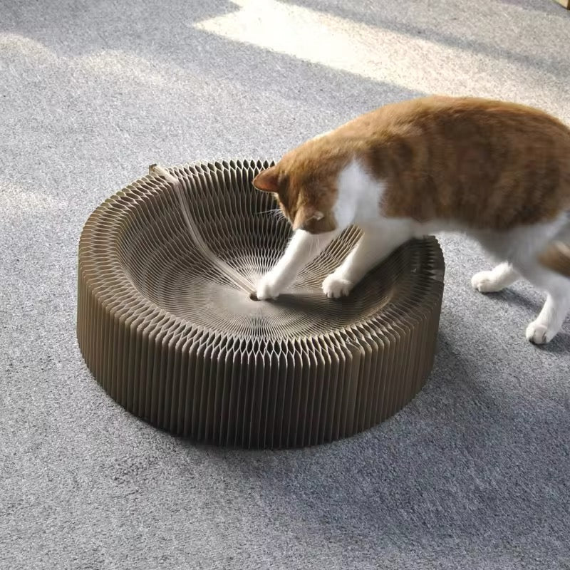 Magical Play And Scratching Bed For Cats