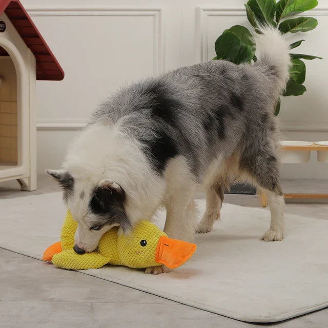 Anti - Stress Duck - Cuddly Toy For Dogs