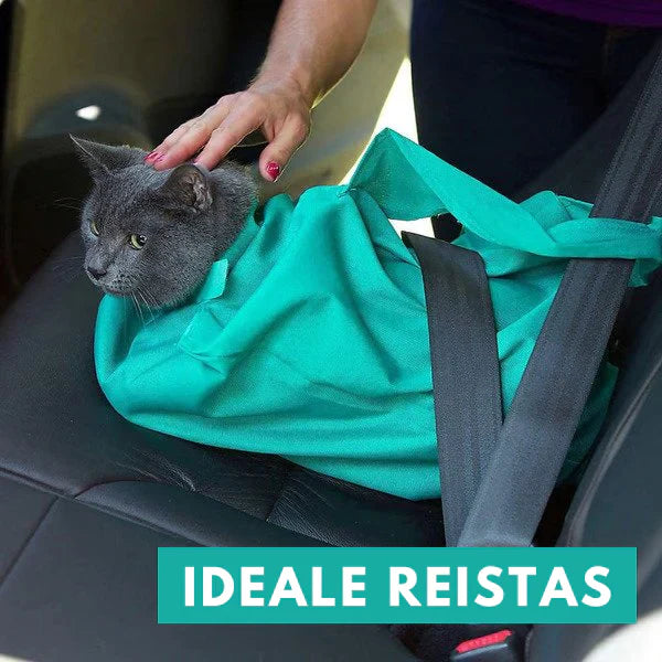 Cat Travel Bag With Comfort (2 For 1)