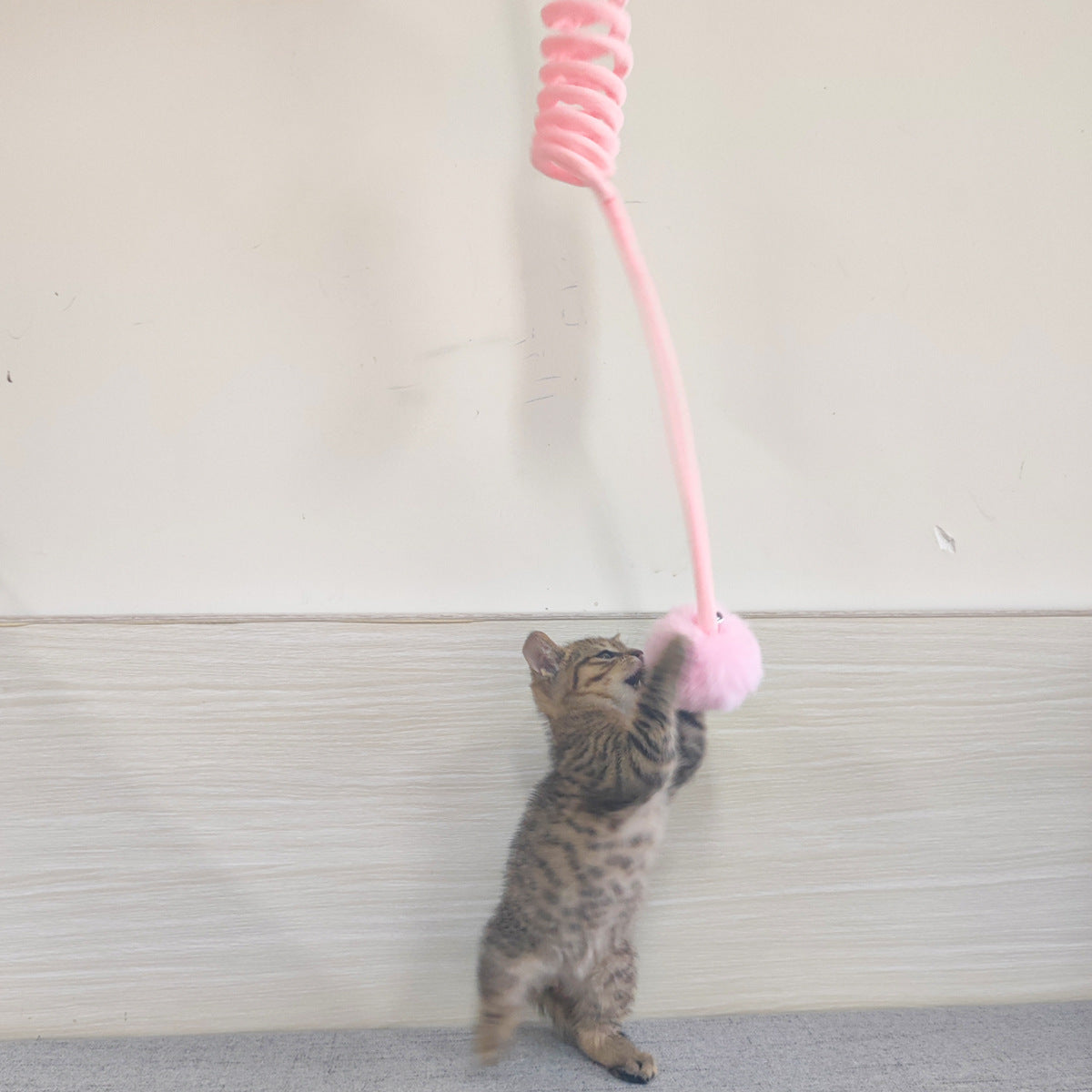 Interactive Elasticated Cat Toy