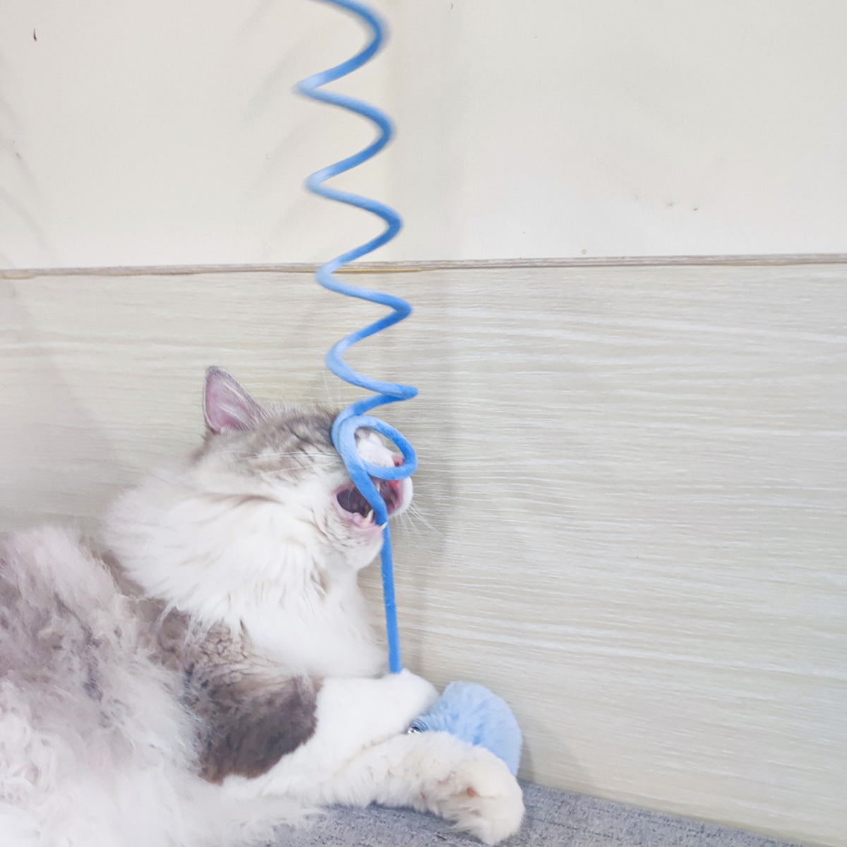Interactive Elasticated Cat Toy