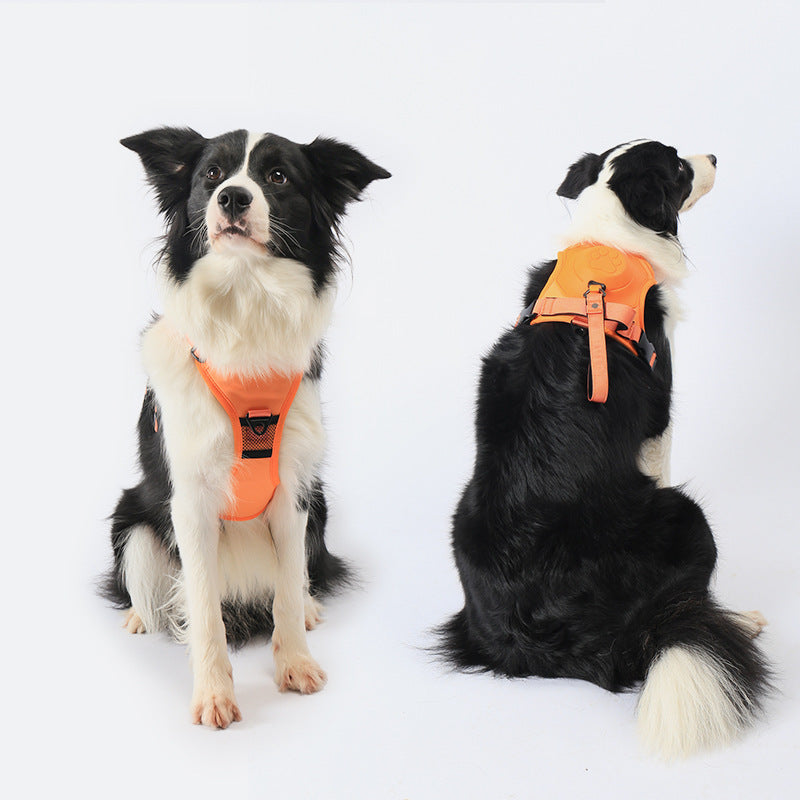 Cozy 2-in-1 Anti-pull Dog Leash With Harness