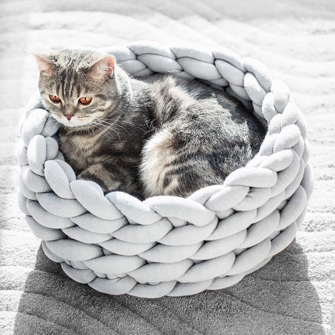 Hand - Woven Cat Basket