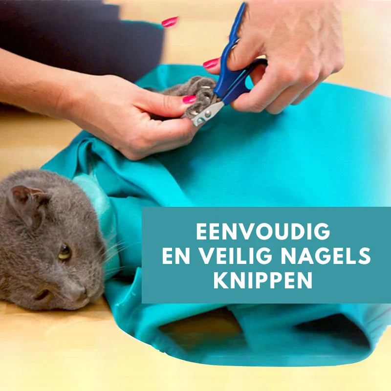 Cat Travel Bag With Comfort (2 For 1)