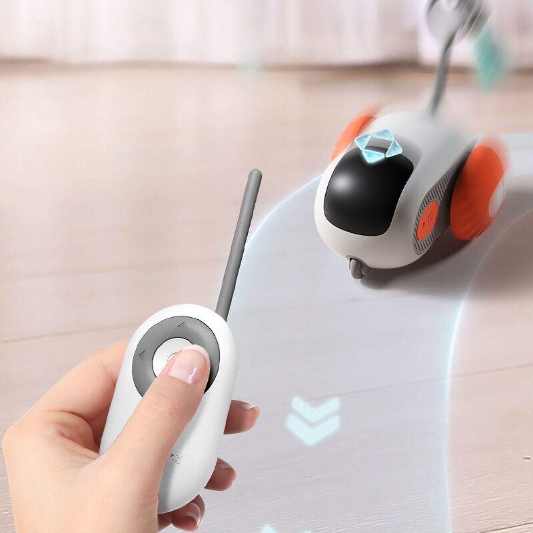 Remote - Controlled Cat Toy