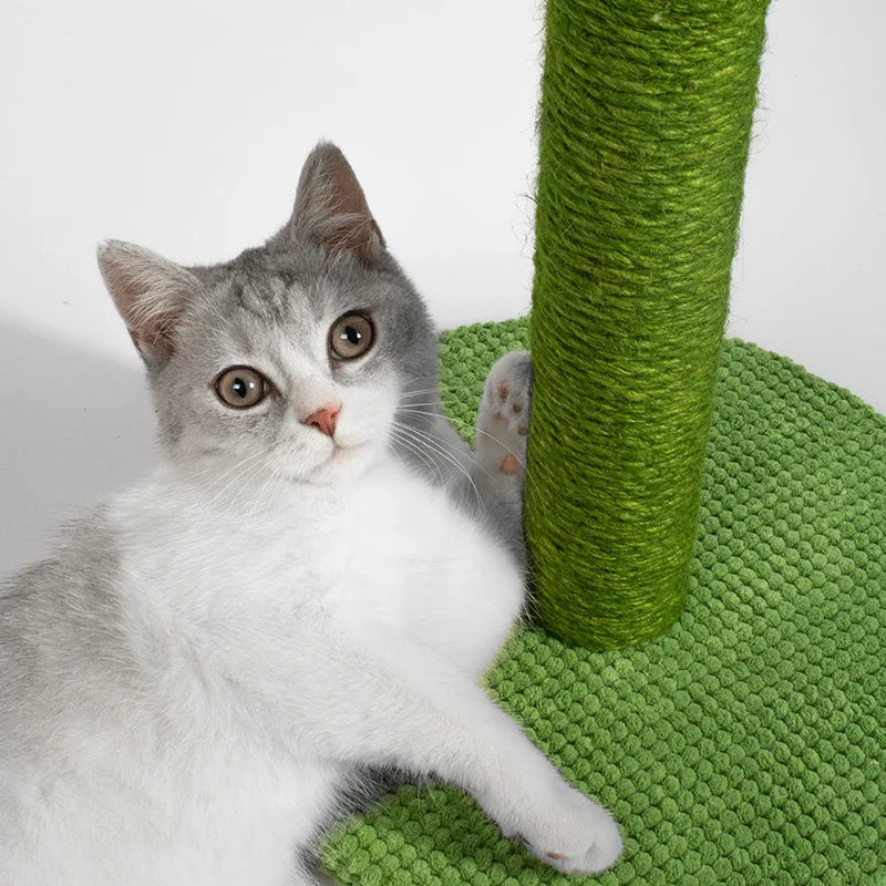 Cat Cactus Scratching Post Made From Sisal