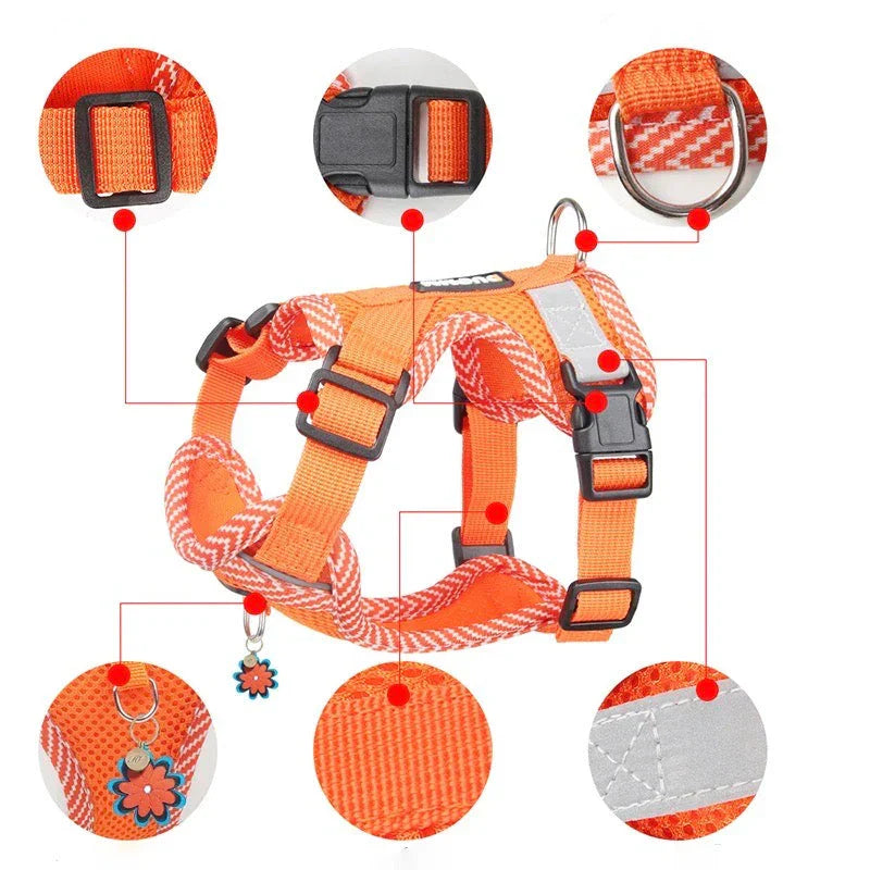 Reflective Dog Harness With Lead For Small Dogs