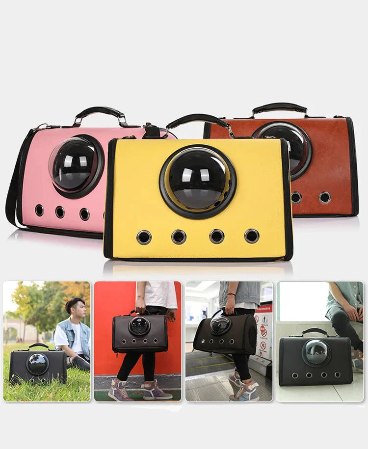 Airplane and Car Travel Bag for Pets