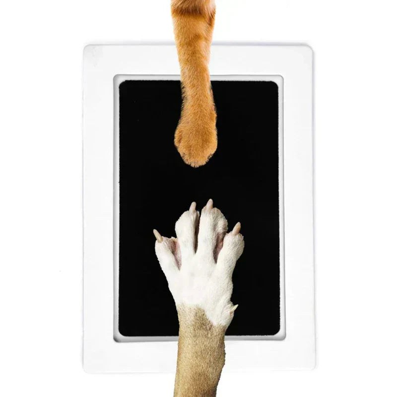 Imprint Set For Paws