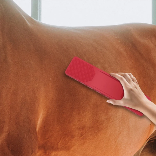 Horse Coat Grooming Brush