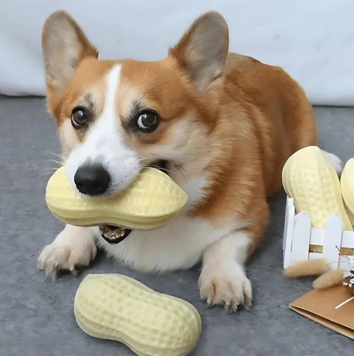 Tooth - Cleaning Chew Toy for Dogs In Peanut Design
