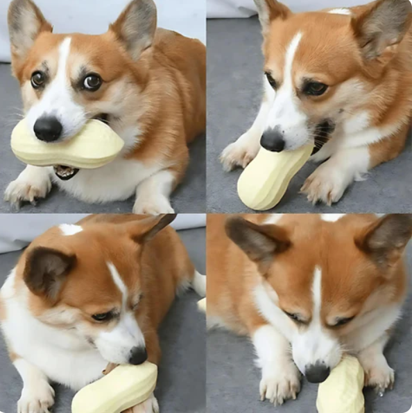 Tooth - Cleaning Chew Toy for Dogs In Peanut Design