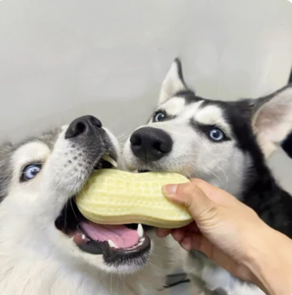 Tooth - Cleaning Chew Toy for Dogs In Peanut Design