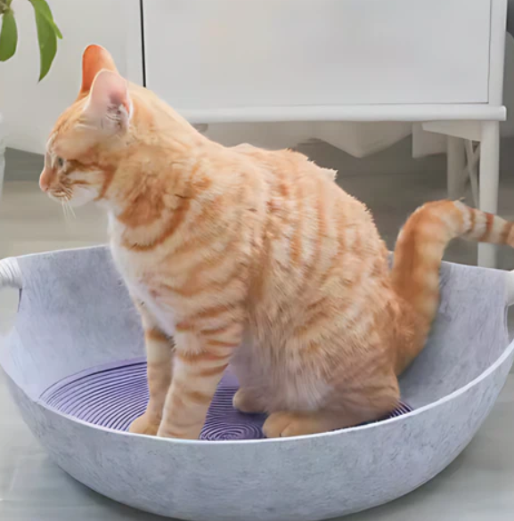 Cosy Felt Cat Bed With Carrying Handles
