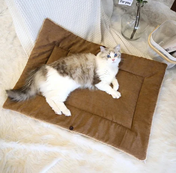 2 - In-1 Cosy Bed And Blanket For Cats