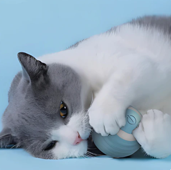 Rolling Play Ball For Cats With Feather Tail