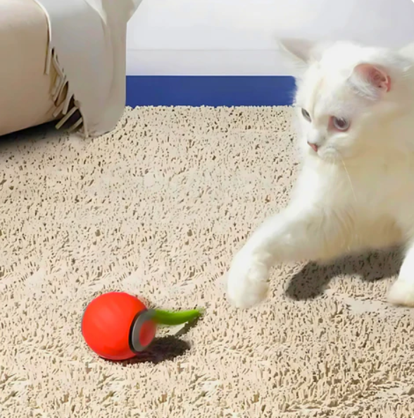 Rolling Play Ball For Cats With Feather Tail