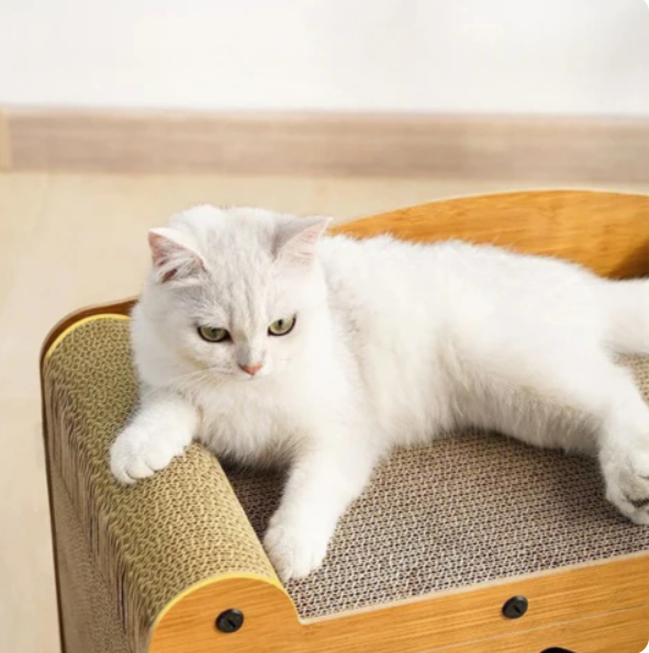 Cat House With Scratching Area And Integrated Play Area