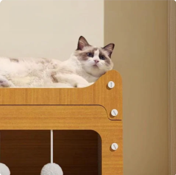 Cat House With Scratching Area And Integrated Play Area