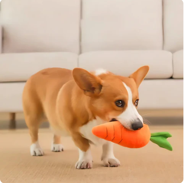 Plush Carrot For Dogs - Interactive Play And Cuddly Toy