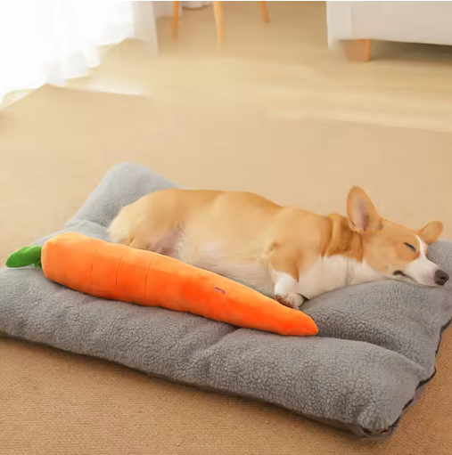 Plush Carrot For Dogs - Interactive Play And Cuddly Toy