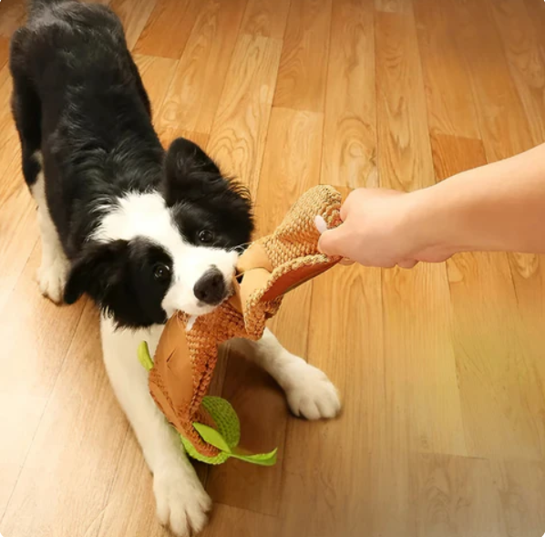 Plush Turtle Snack And Toy For Dogs