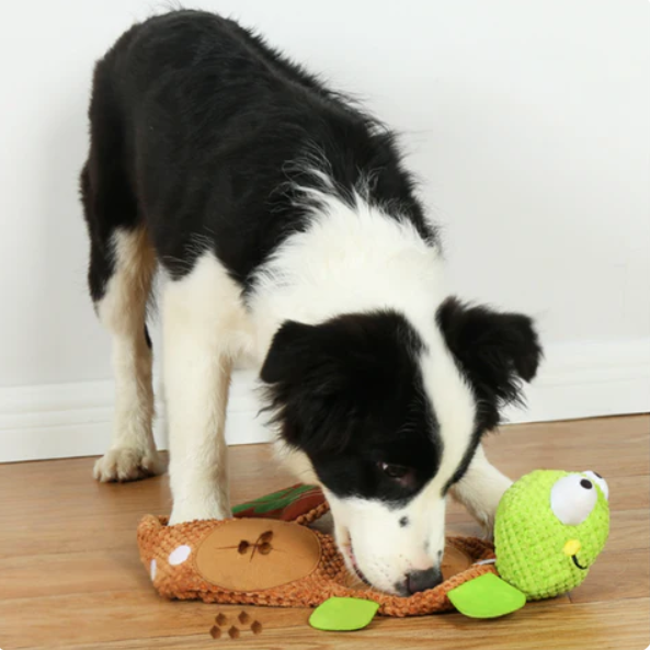 Plush Turtle Snack And Toy For Dogs