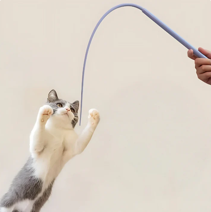 Set Of 2-Flexible Play Stick For Cats - Interactive Play Fun