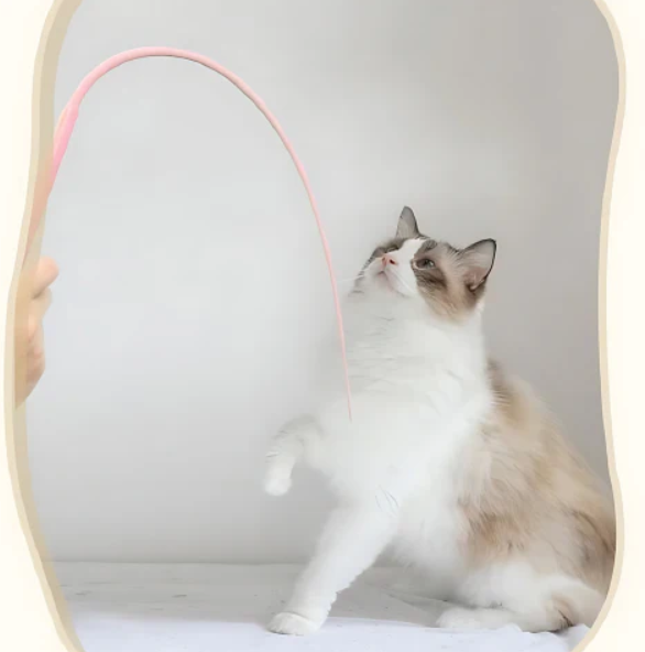 Set Of 2-Flexible Play Stick For Cats - Interactive Play Fun