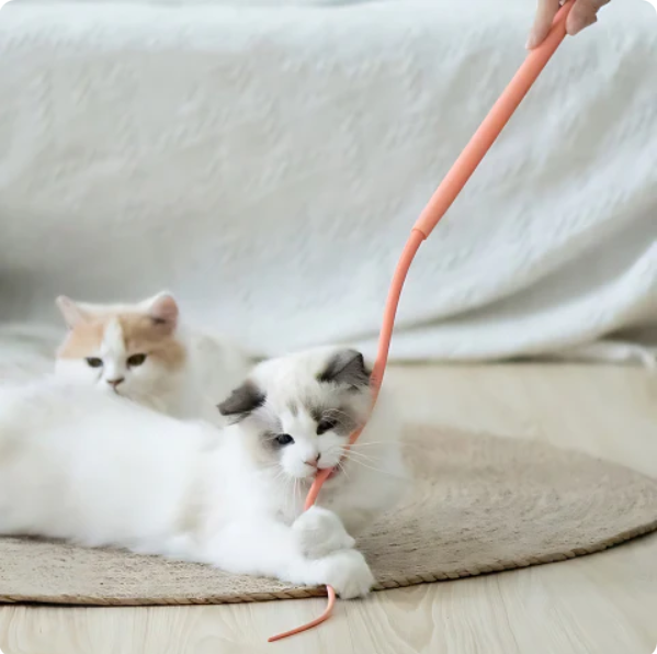 Set Of 2-Flexible Play Stick For Cats - Interactive Play Fun