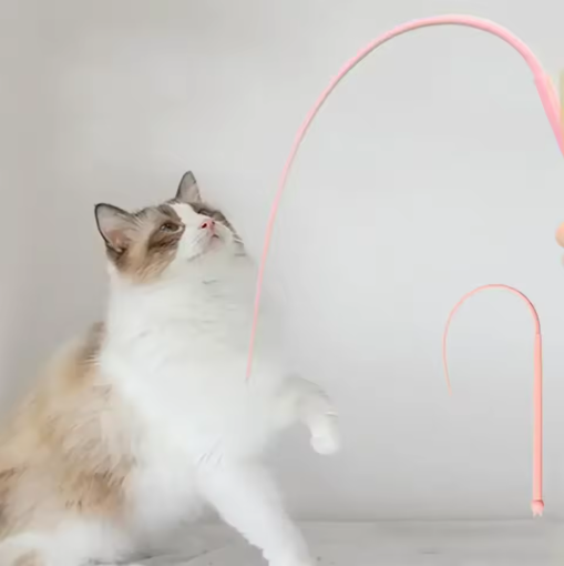 Set Of 2-Flexible Play Stick For Cats - Interactive Play Fun