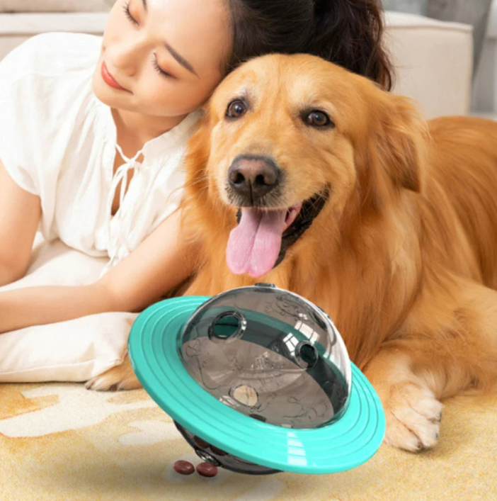 Dog Toy With Treat Dispenser And Interactivity