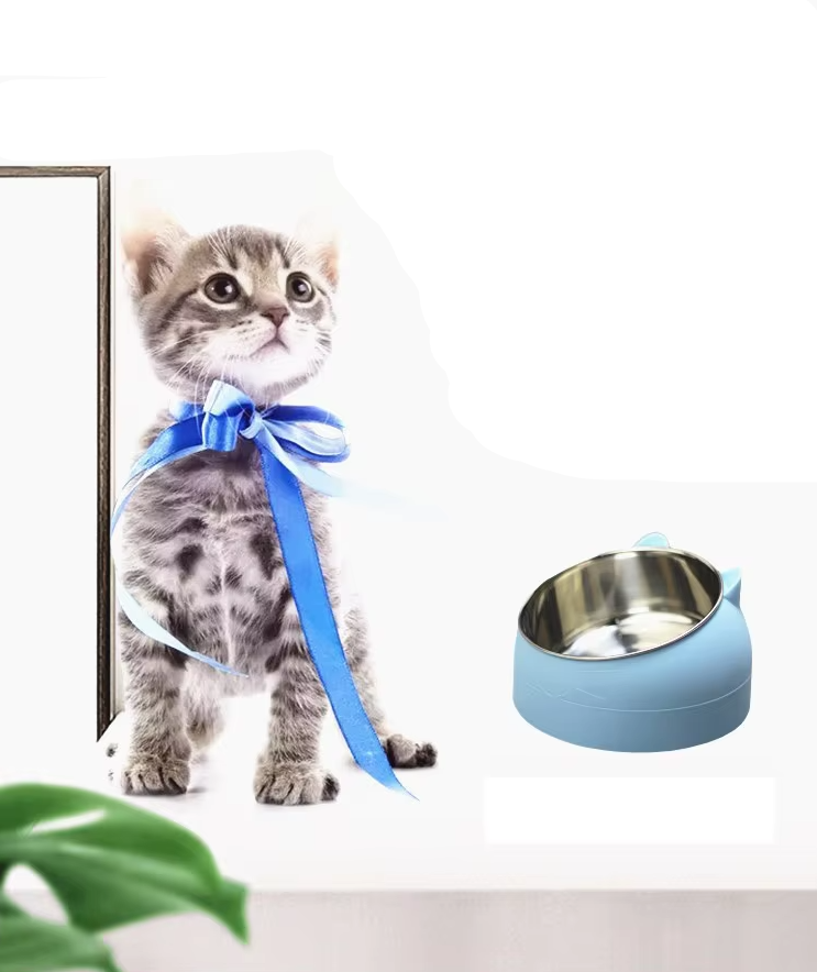 Cat Bowl With 15 - Degree Inclination For Comfortable Eating