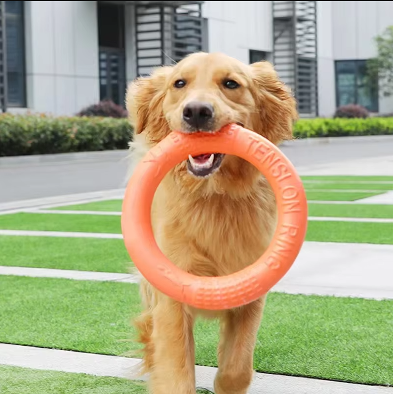 Robust Throwing And Teething Ring - Interactive Dog Toy For Active Playtime Fun
