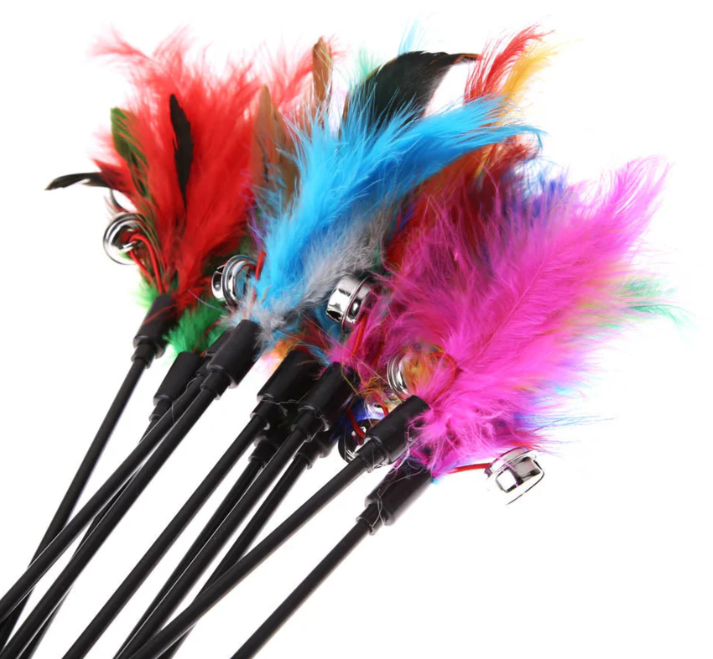 Cat Toy with Colourful Feathers (Set of 5)