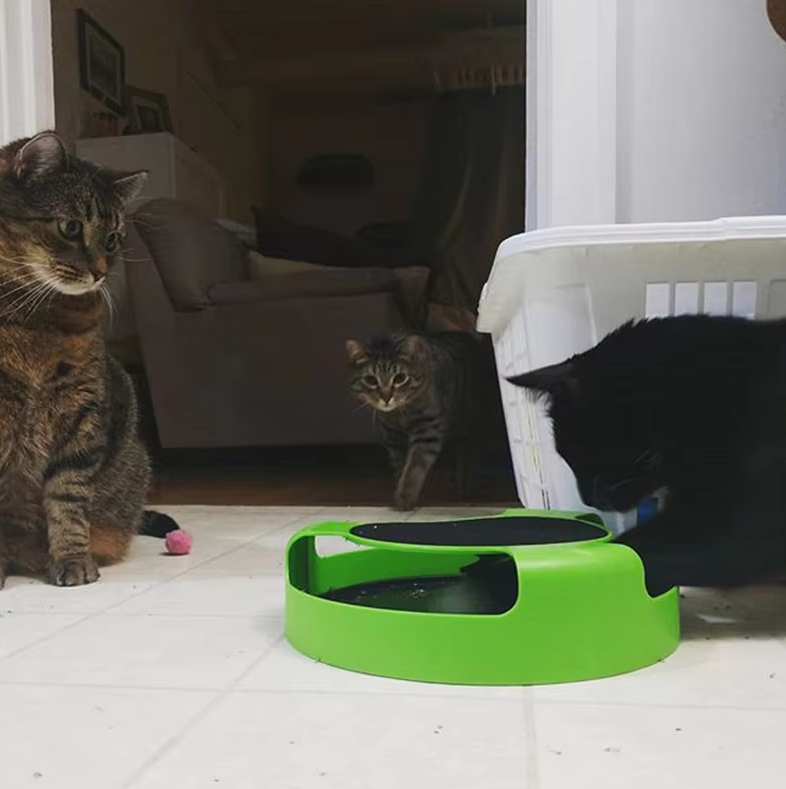 Interactive Cat Toy With Mouse - Toy With Moving Mouse For Cats